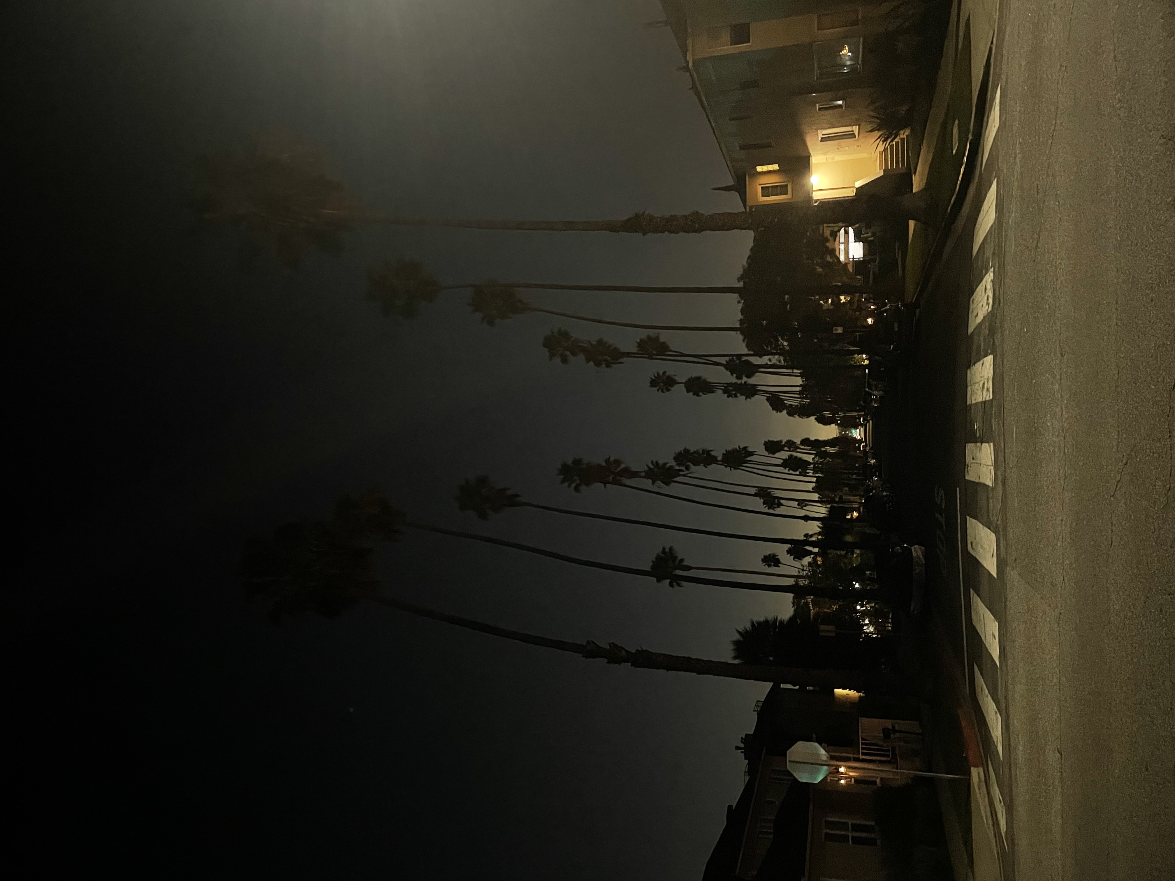 Creative study - Moody nighttime street scene with palm trees and residential lighting